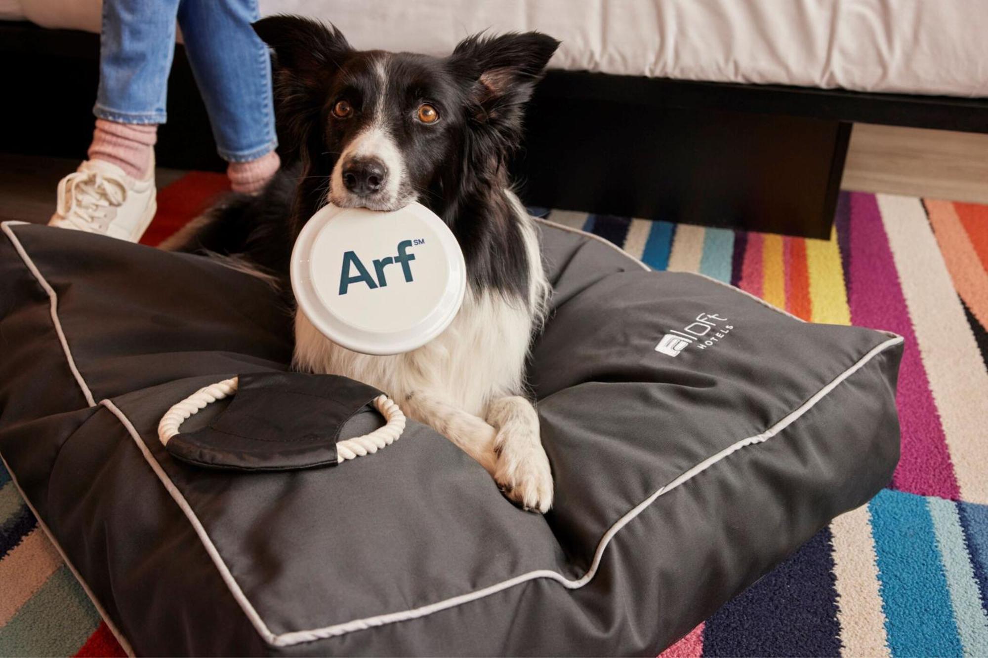 Aloft Dublin City Екстериор снимка